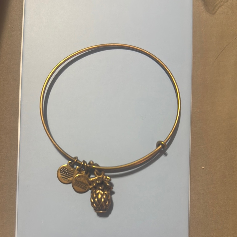 Alex and Ani Pineapple Charm